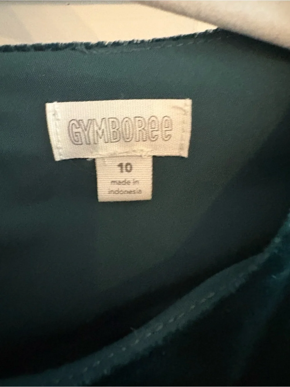 Gymboree Teal Velvet Long-Sleeve Girls' Dress